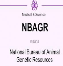 nbagr-recruitment