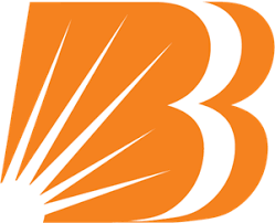 Bank of Baroda Recruitment for Business Heads