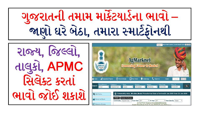 Daily Market Report All Apmc Agriculture Marketing