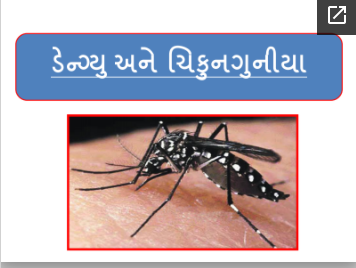 Learn about dengue, chickenpox and malaria
