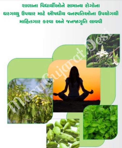 Home remedies for diseases through the use of medicinal plants