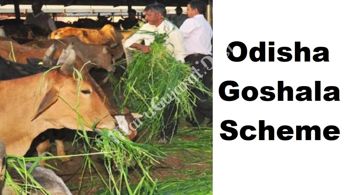 Odisha Goshala Scheme Stray Cattle Shelter Houses